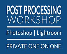 Shetzer's post processing workshop